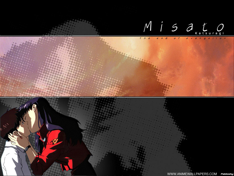 shinji and misato