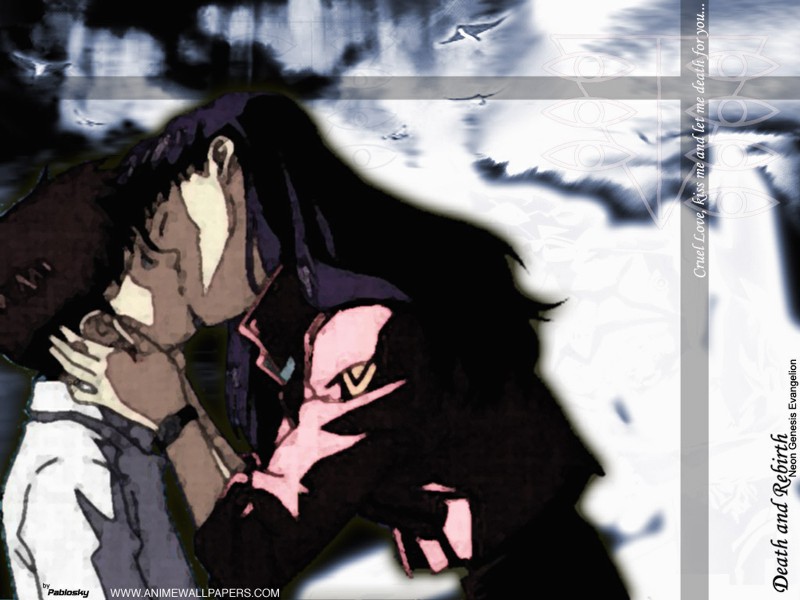 shinji and misato