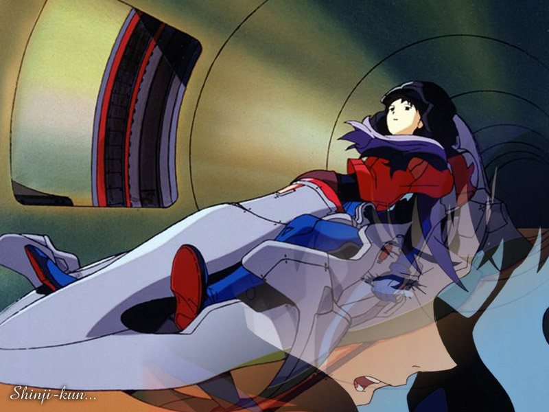 shinji and misato