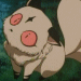 kirara